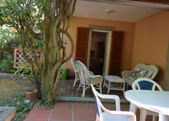 Susy, Vicino Di *